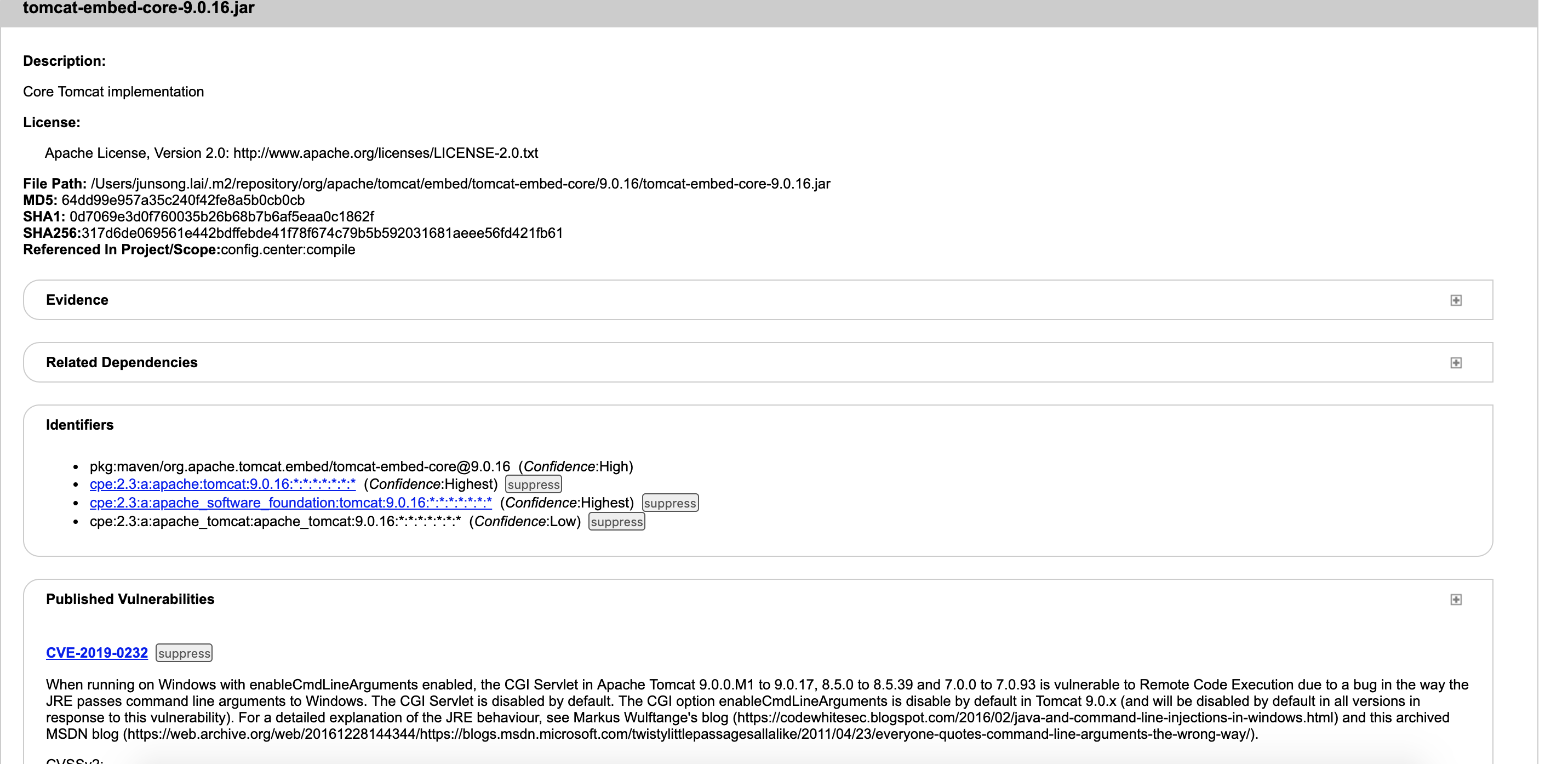 report-cve